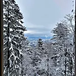 Luxury Wide View Pohorje Bellevue *