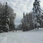 Luxury Wide View Pohorje Bellevue * Hočko Pohorje