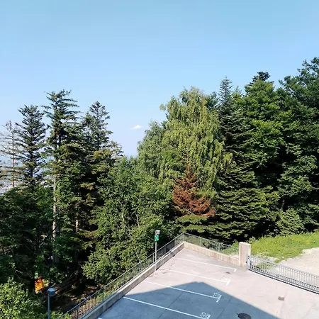 Luxury Wide View Pohorje Bellevue *