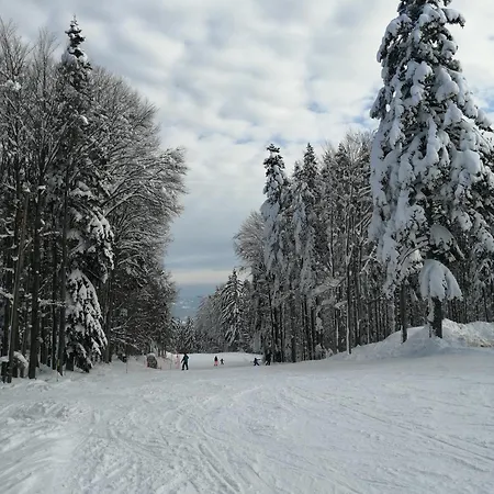 Luxury Wide View Pohorje Bellevue * Hočko Pohorje