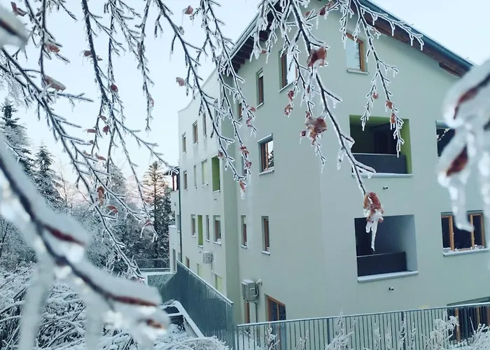 Apartmán Luxury Wide View Pohorje Bellevue *