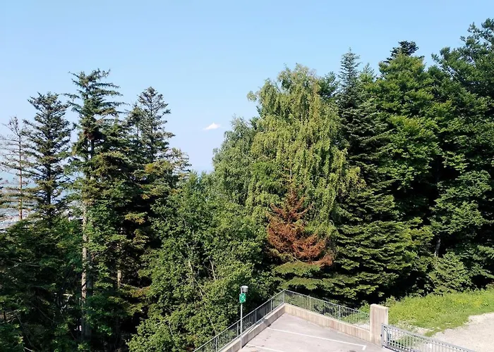 Luxury Wide View Pohorje Bellevue *