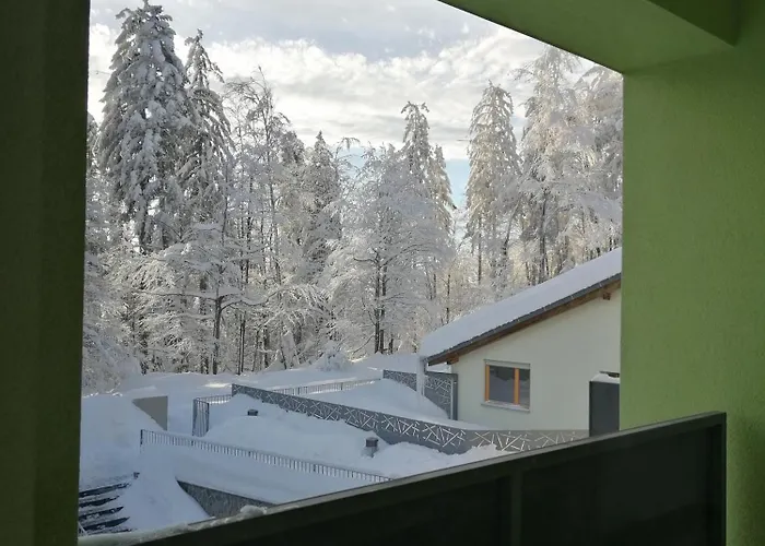 アパート Luxury Wide View Pohorje Bellevue ホコ・ポホリェ