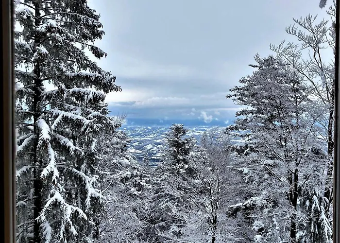 Luxury Wide View Pohorje Bellevue *
