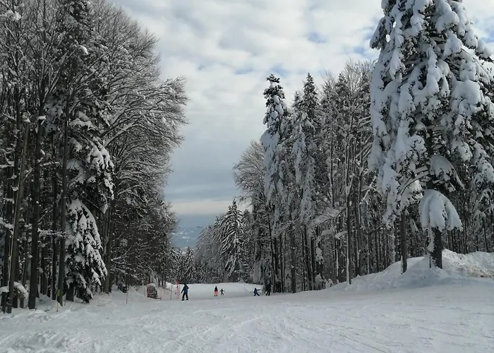 Luxury Wide View Pohorje Bellevue * Hočko Pohorje